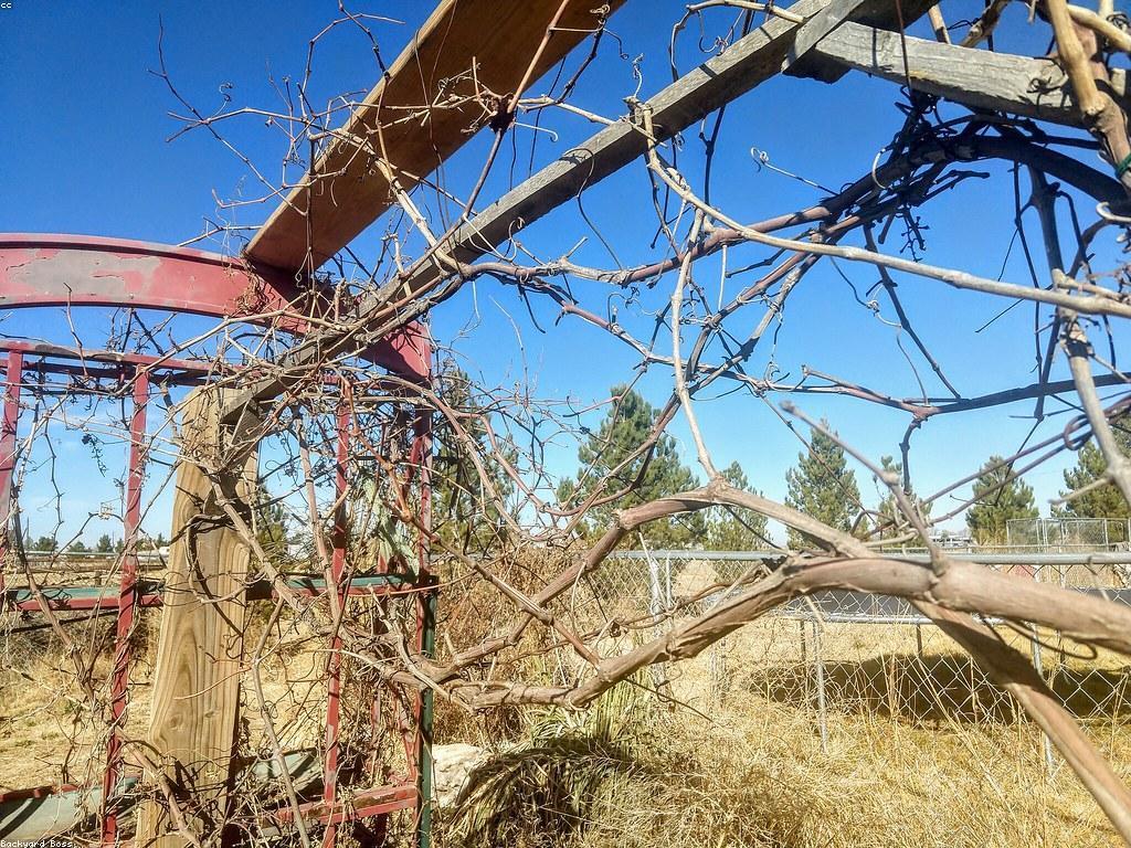 មគ្គុទេសក៍សម្រាប់អ្នកថ្មី