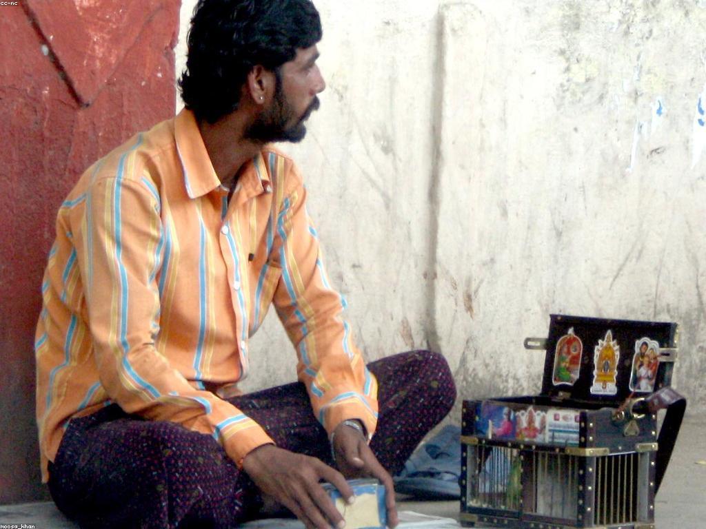 សមិទ្ធផលនៃការទស្សន៍ទាយ