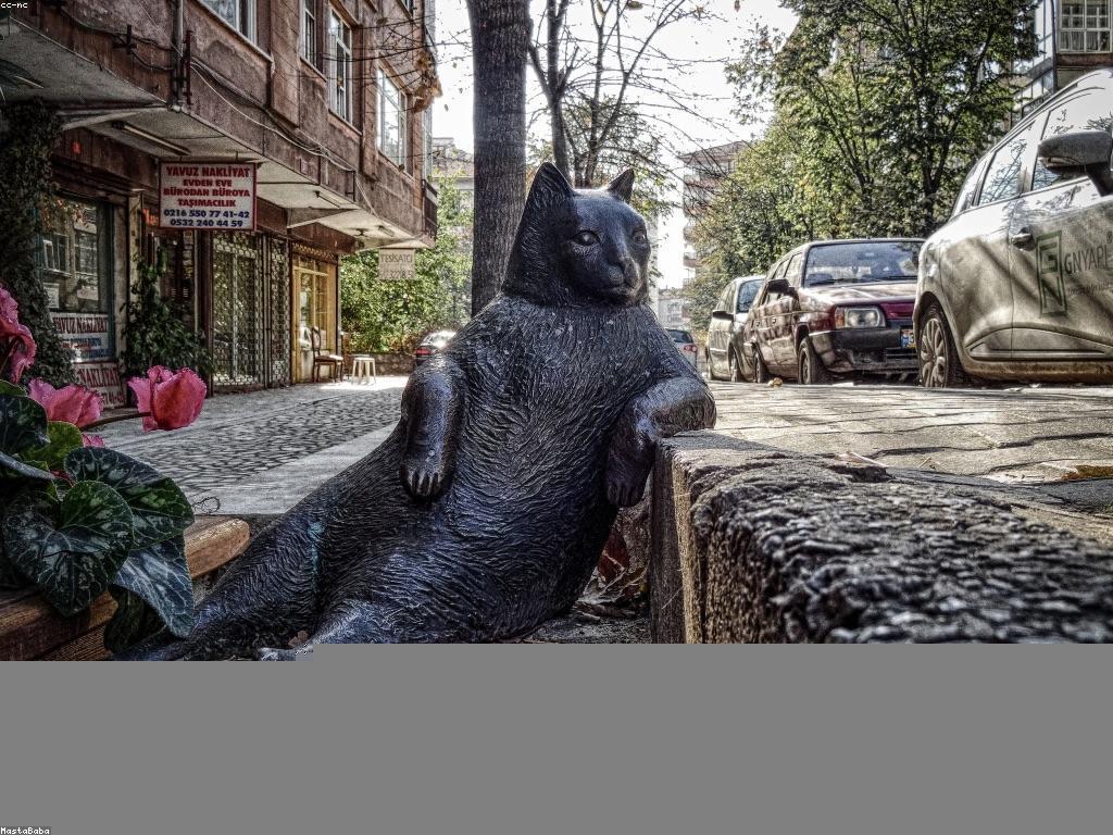 ផលប៉ះពាល់នៃការទស្សន៍ទាយក្នុងសង្គម